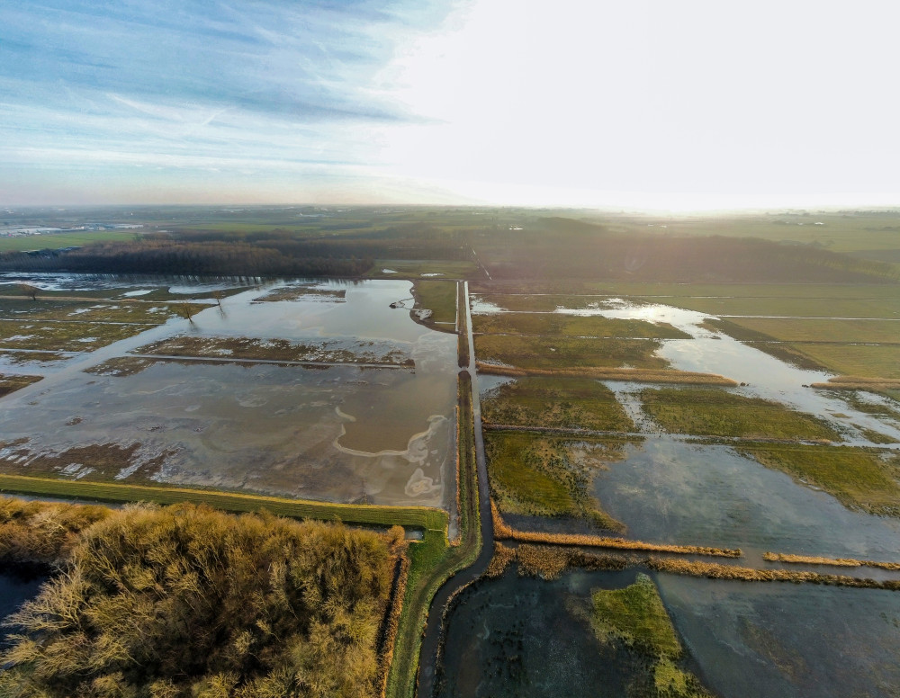 Nieuwe natuur Bart Pörtzgen
